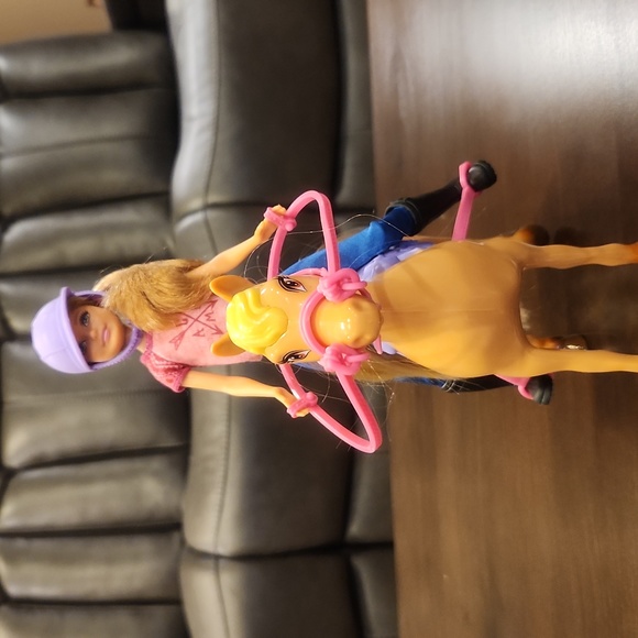 Barbie Camping Fun Stacie Doll & Horse Set with Themed Accessories - Picture 2 of 4